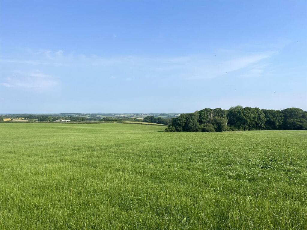 Land for sale in North Tawton, Devon, EX20