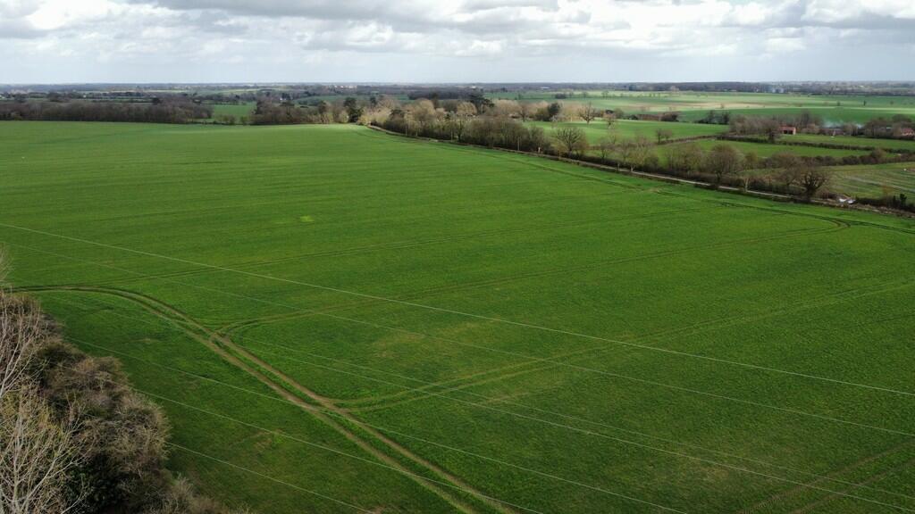 4 bedroom detached bungalow for sale in Hall Road, Ilketshall St