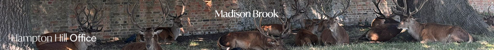 Get brand editions for Madison Brook, Hampton Hill