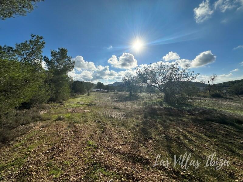 Main image of property: Balearic Islands, Ibiza, Sant Josep De Sa Talaia
