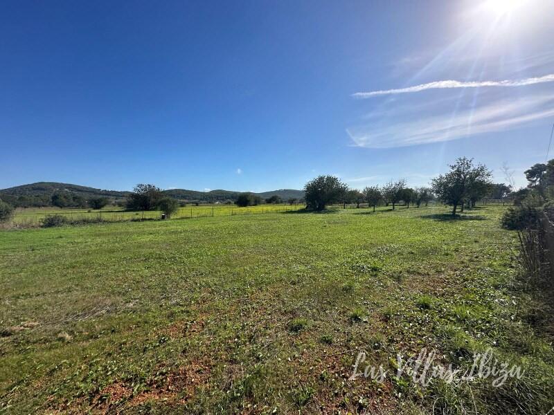 Main image of property: Balearic Islands, Ibiza, Santa Eulària Des Riu