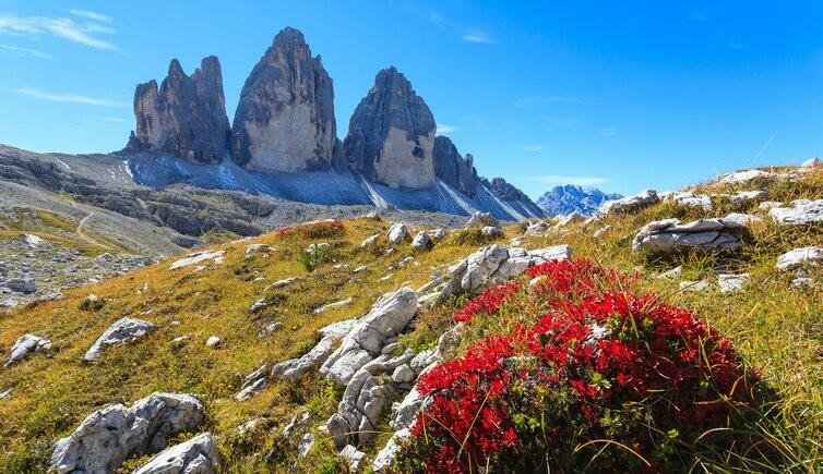 Main image of property: Trentino-South Tyrol, Bozen, Sesto