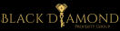 Black Diamond Property Group logo