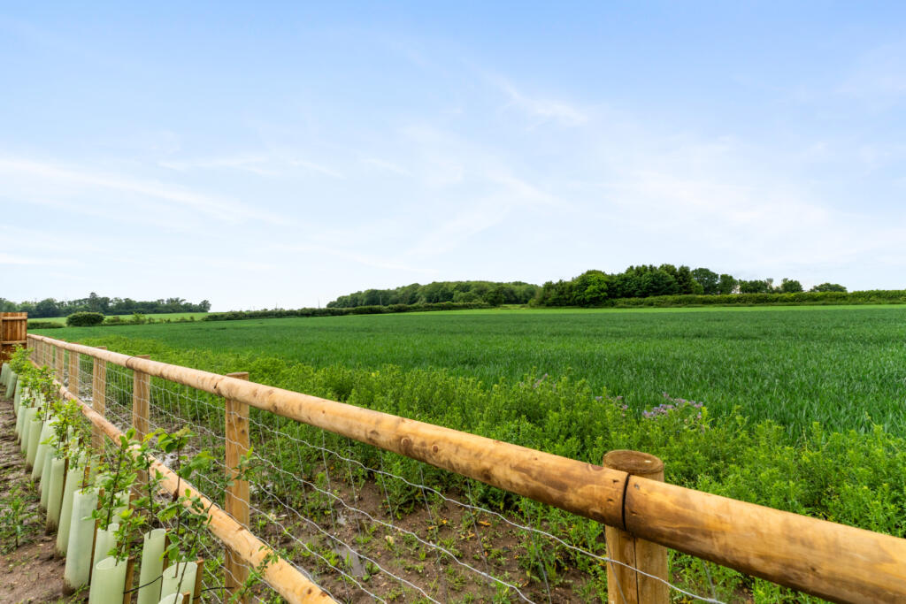 Additional property image - Water Lane, Field View, Steeple Bumpstead, Essex, CB9