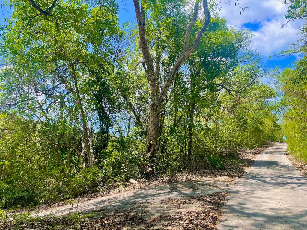 Main image of property: Crown Point Land GR 991 Lot 6, Crown Point