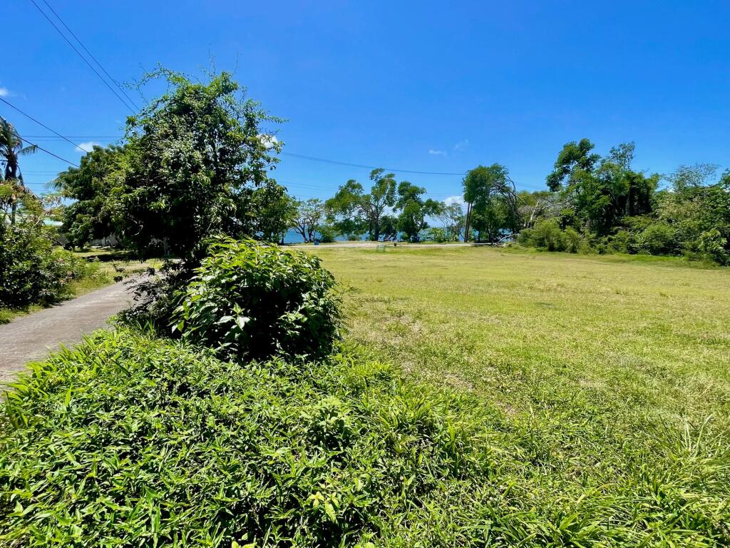 Main image of property: Lower Bay 1 Acre Prime Beachfront Land, Lower Bay