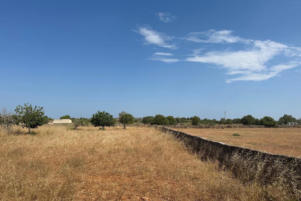 Main image of property: Balearic Islands, Mallorca, Santa Margalida