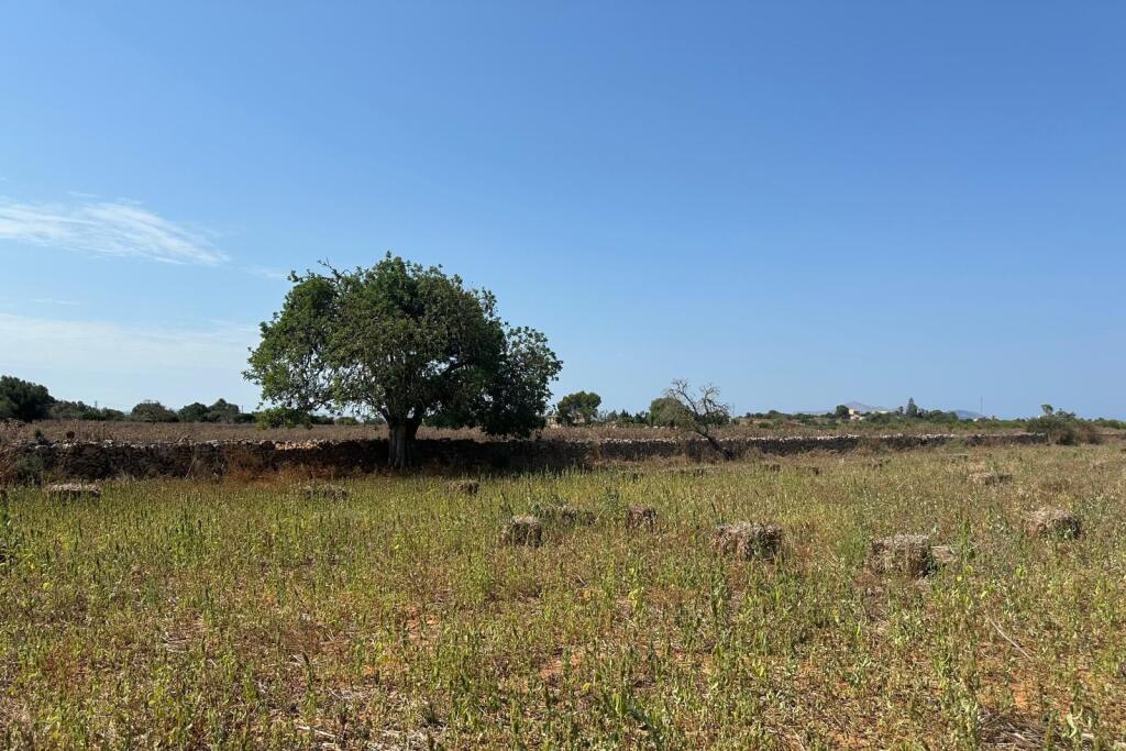 Main image of property: Balearic Islands, Mallorca, Santa Margalida
