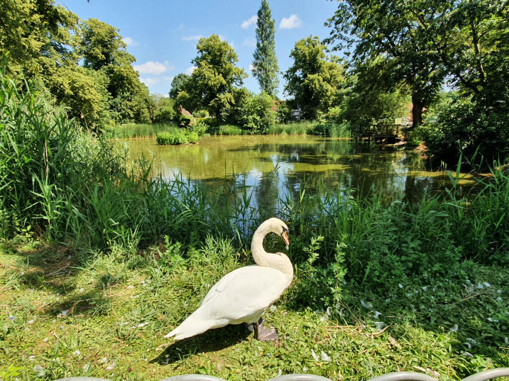 Additional property image - Marton Road, Long Itchington, CV47
