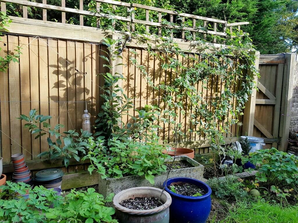 Additional property image - White Mead, Yeovil
