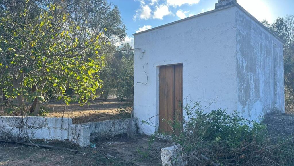 Main image of property: Apulia, Brindisi, San Vito dei Normanni