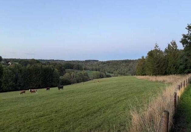 Main image of property: Juniper Slad, Hayhedge Lane, Bisley, Gloucestershire, GL6