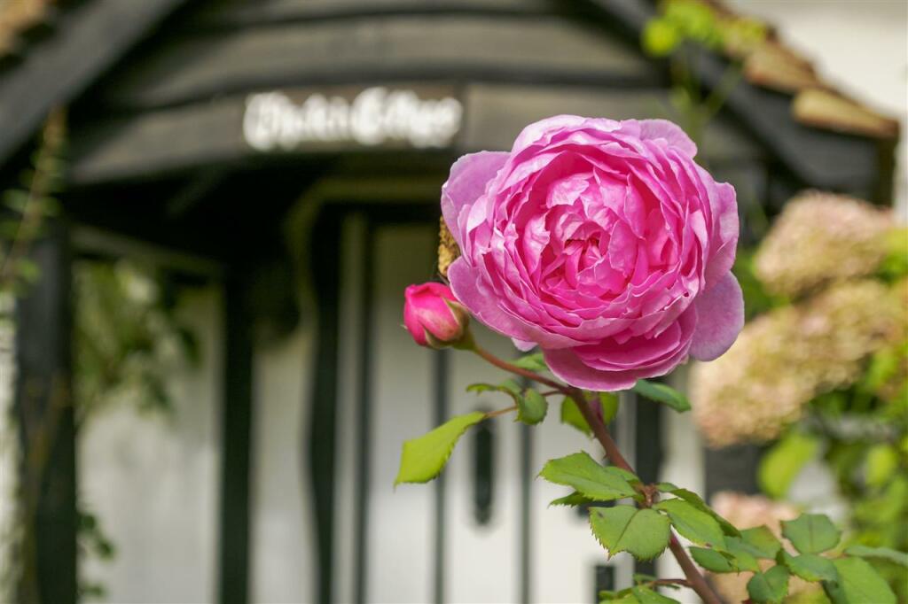 Additional image 3 of Monkton Street, Monkton, Ramsgate