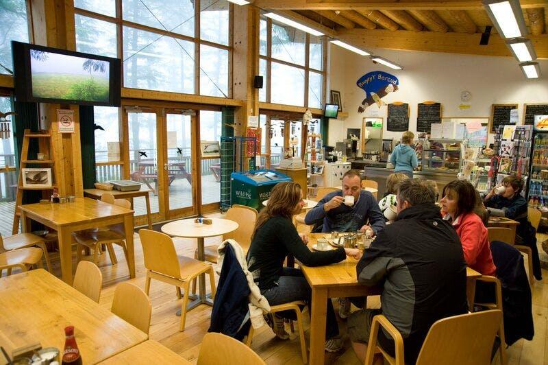 1881_inside bwlch nant yr arian visitor centre_natural resources wales_no restrictions_n_a.jpg