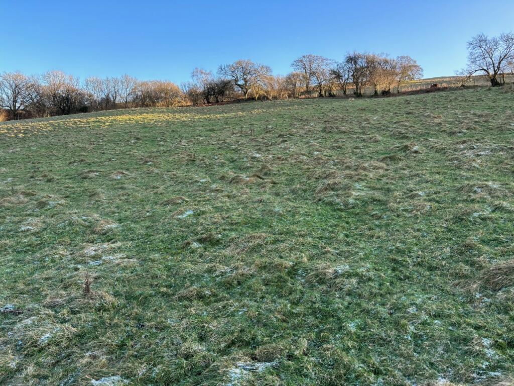 Land for sale in Halfway, Llandovery, Carmarthenshire., SA20