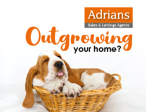 Get brand editions for Adrians, Chelmsford