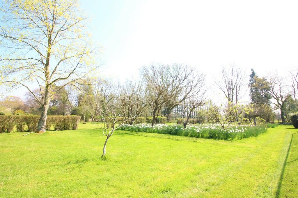 Additional property image - Wootton, New Forest