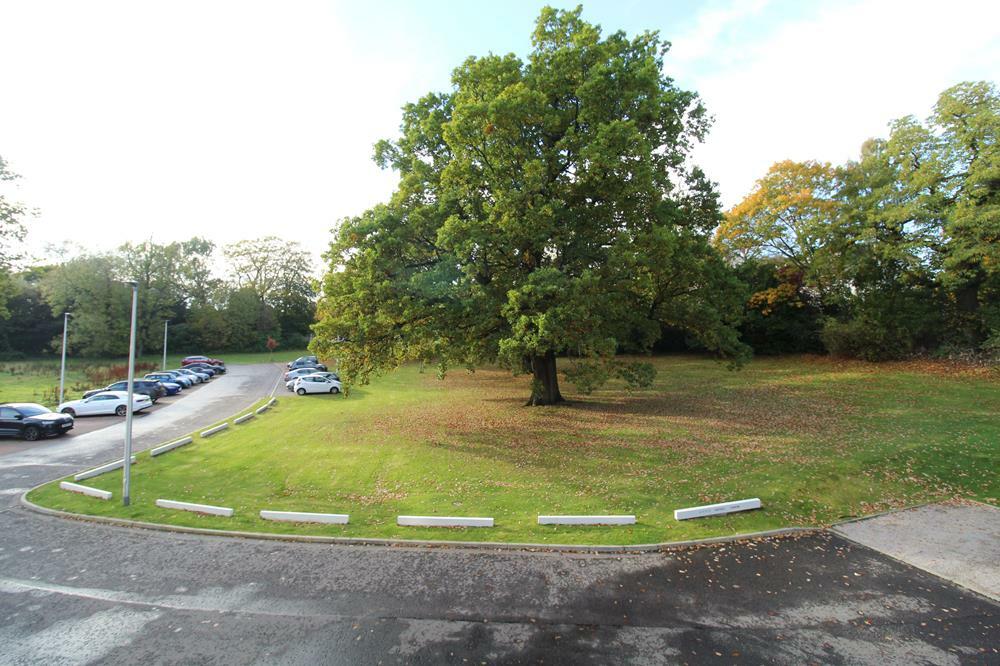 Additional property image - May Baird Gardens, First Floor, AB25