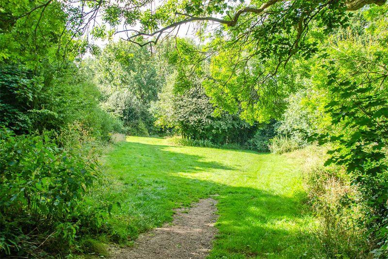 Additional property image - Quarry Court, Quarry Hill, Wilnecote, Tamworth