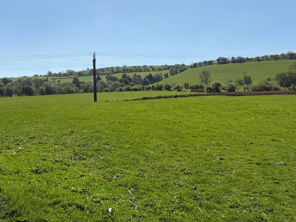 Main image of property: 44 ACRES PRODUCTIVE AGRICULTURAL LAND NEAR SARON