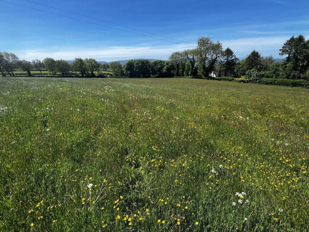 Main image of property: 3 ACRES OF LAND NEAR LIXWM & HALKYN