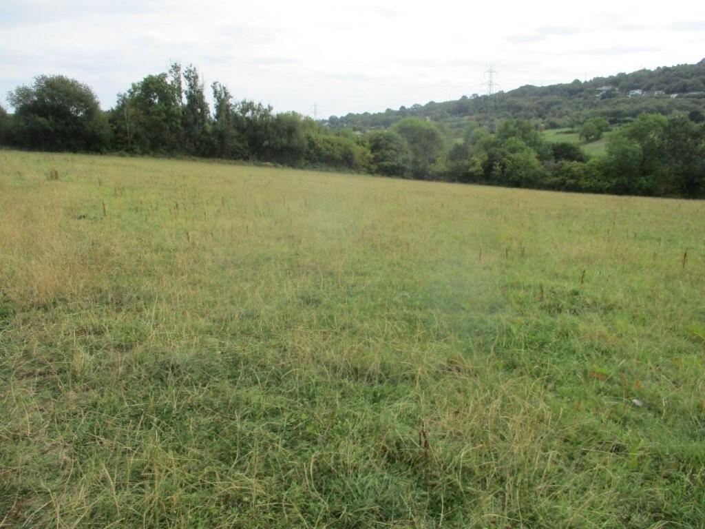 Main image of property: 17.49 ACRES AT MINERA HALL ROAD, MINERA