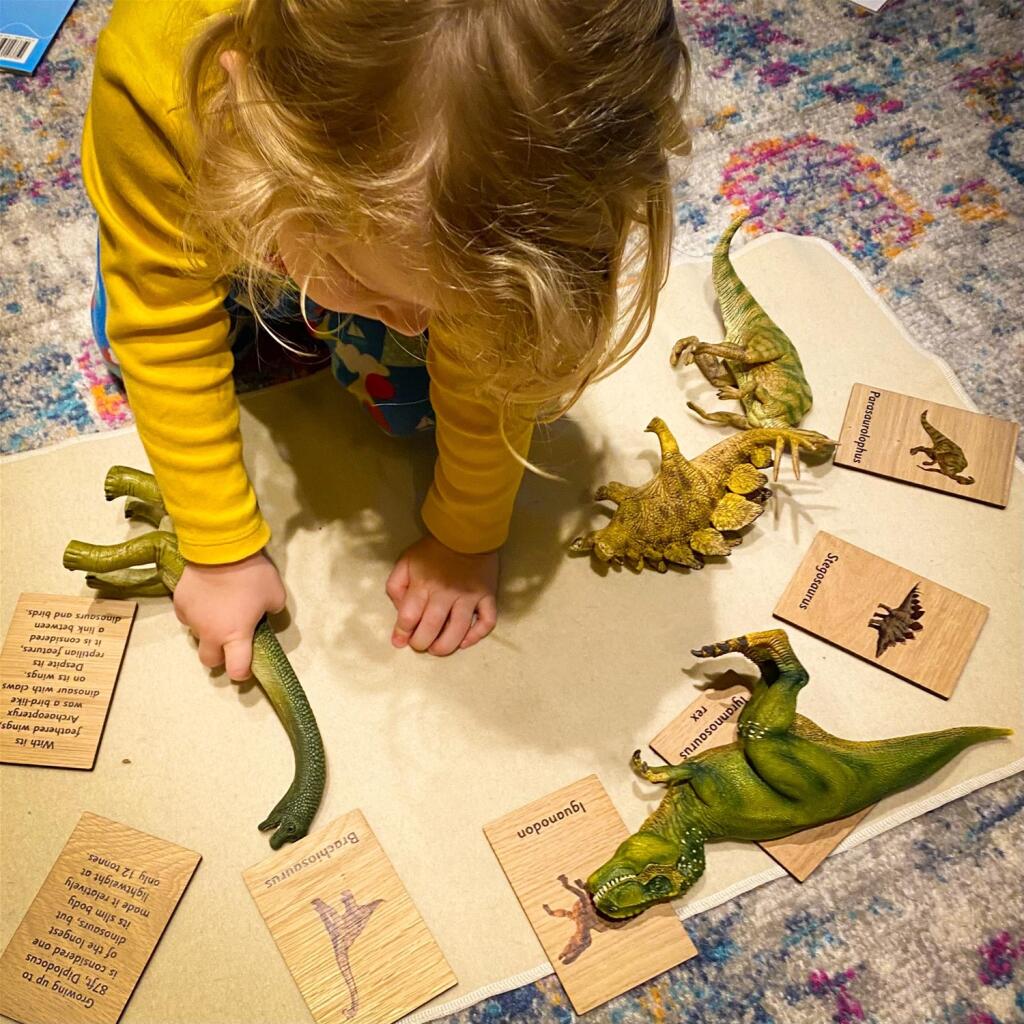 Additional property image - E-COMMERCE RETAILER OF PREMIUM WOODEN MONTESSORI EDUCATIONAL RESOURCES, Warwickshire