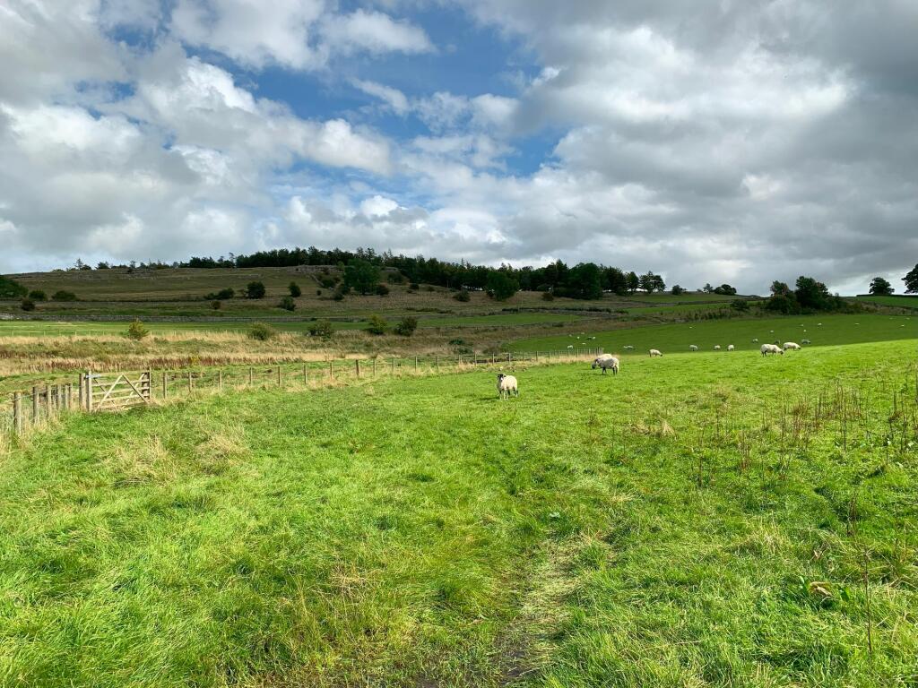 Additional property image - Lot 1 Scarside Farm, Bampton