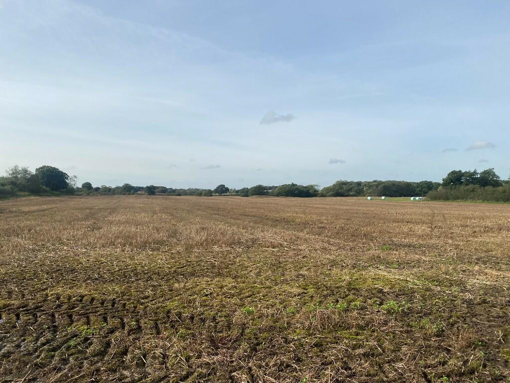 Land for sale in Admirals Gorse, Dingle Lane, Bridgemere, Cheshire, CW5