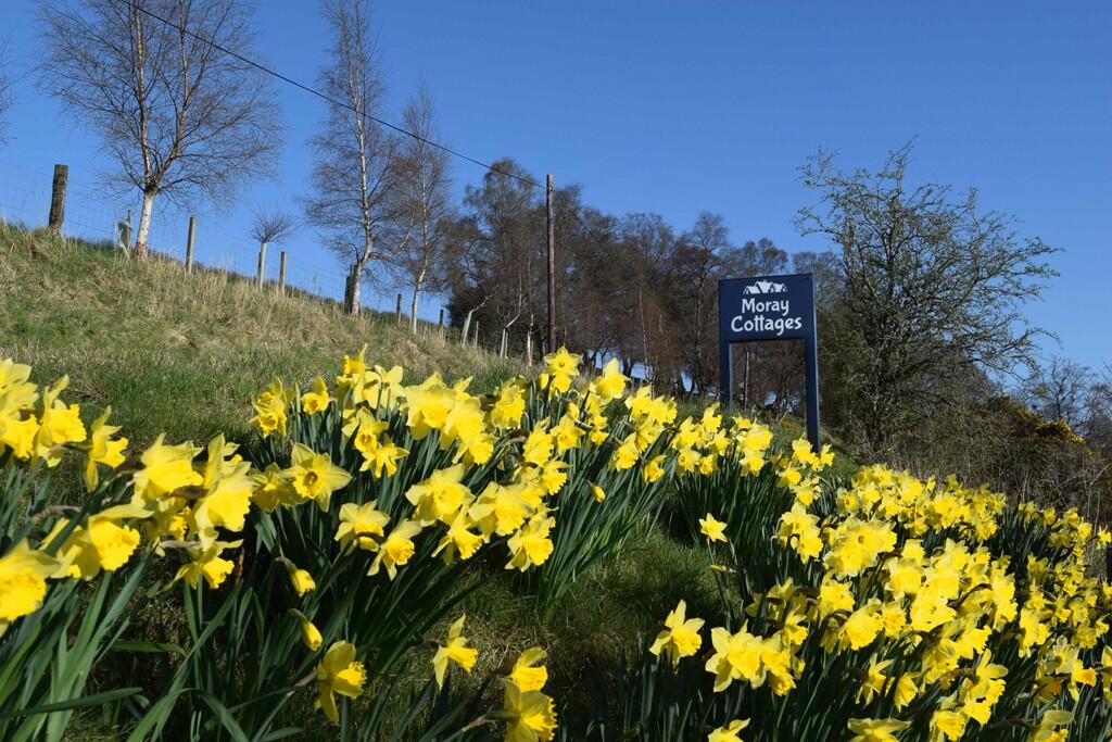 Additional property image - Moray Cottages and Outbuildings, Dufftown, Moray, AB55 4DR