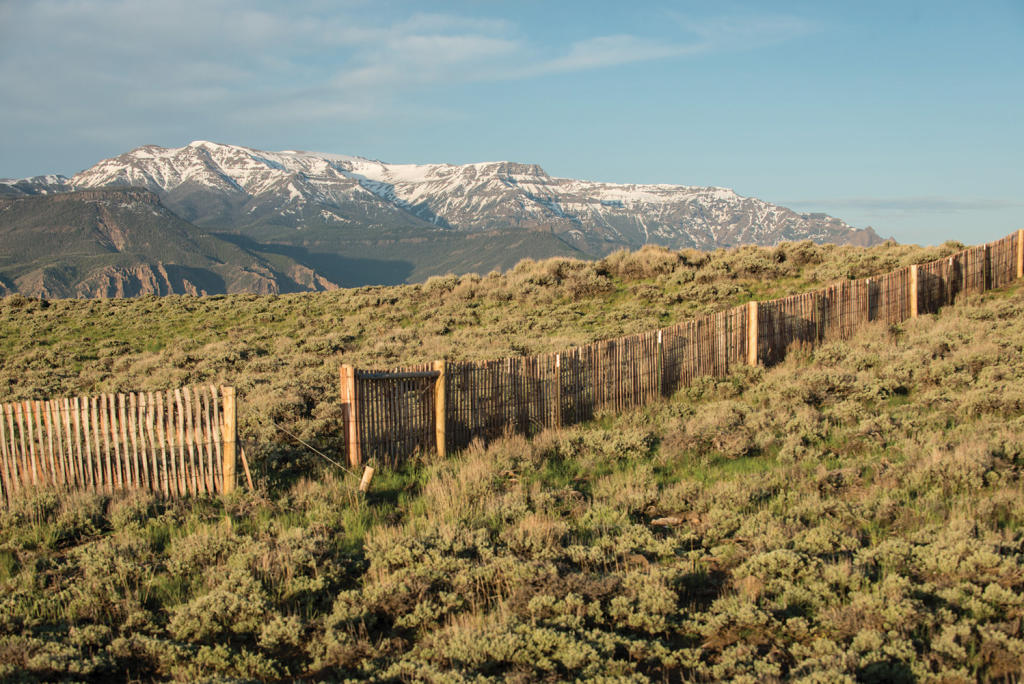 farm for sale in Cody, Wyoming, USA