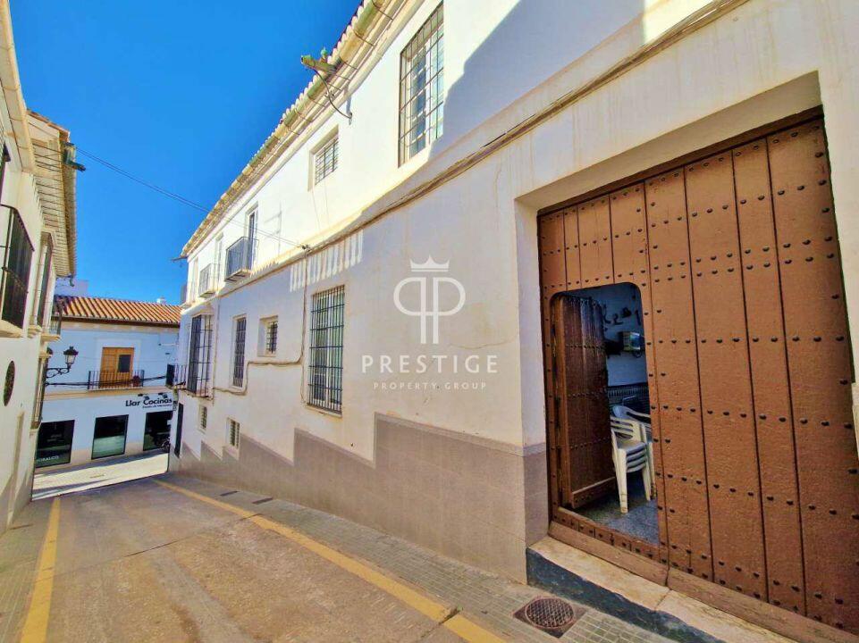 12 bedroom town house for sale in Andalucia, Malaga, VélezMálaga, Spain