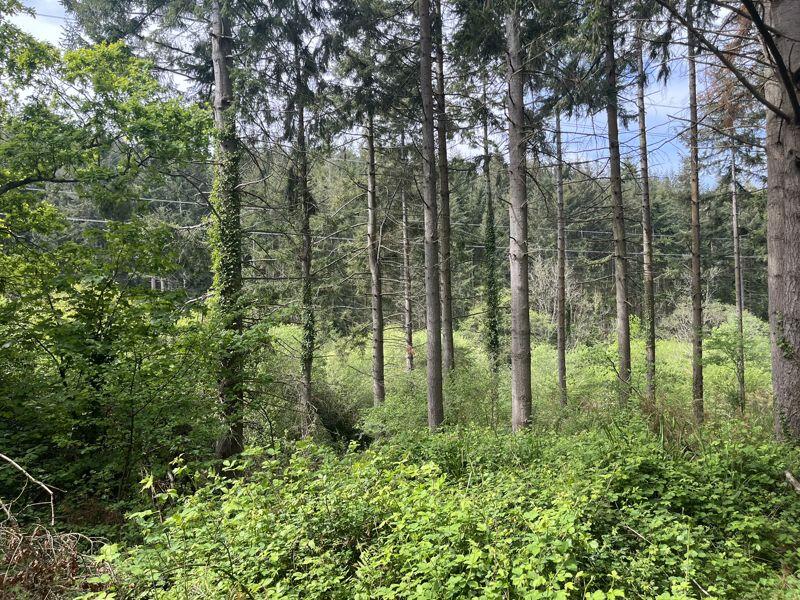 Main image of property: Lot 2: 17.12 acres of Woodland at Bolsters Wood, Exeter