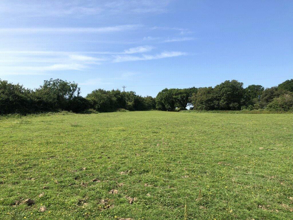 Land for sale in Bodle Street Green, Hailsham, BN27