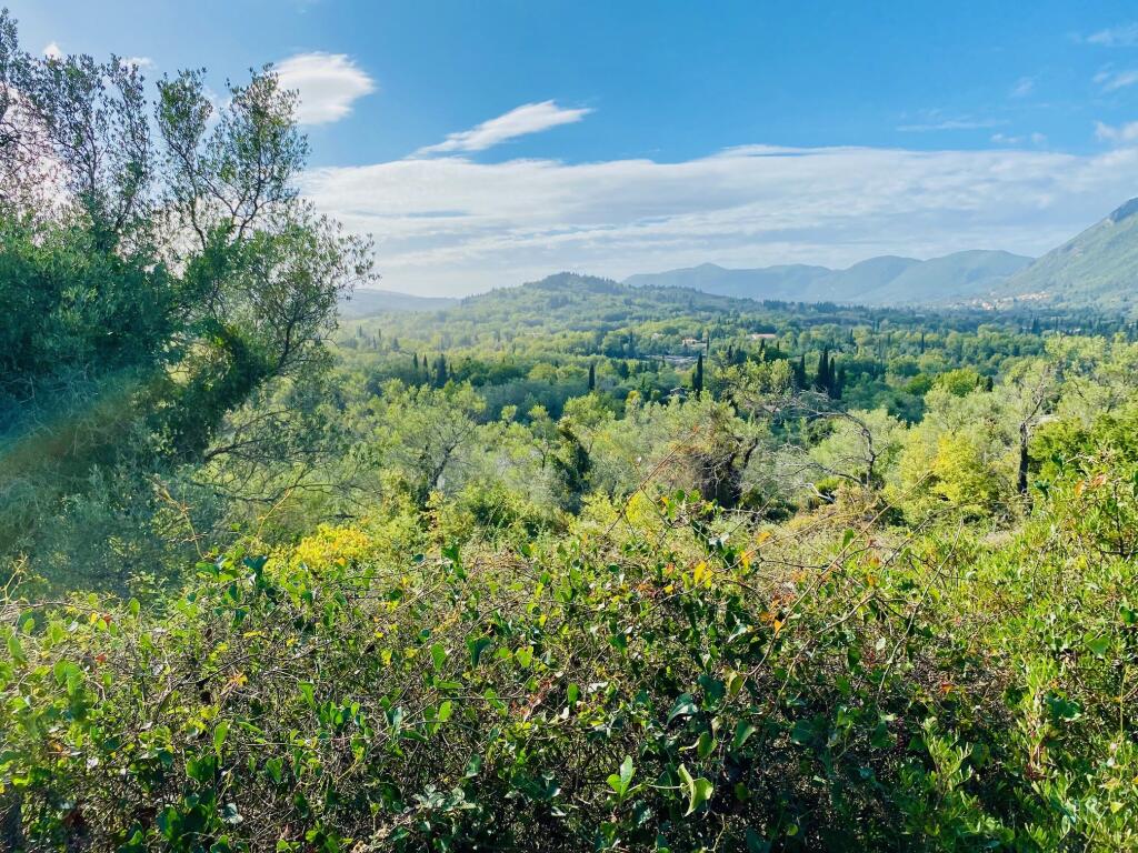 Main image of property: Ionian Islands, Corfu, Ano Korakiana