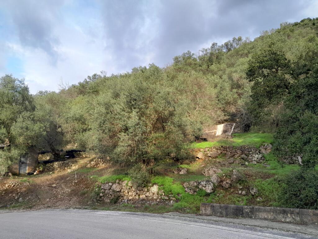 Main image of property: Ionian Islands, Corfu, Chlomos