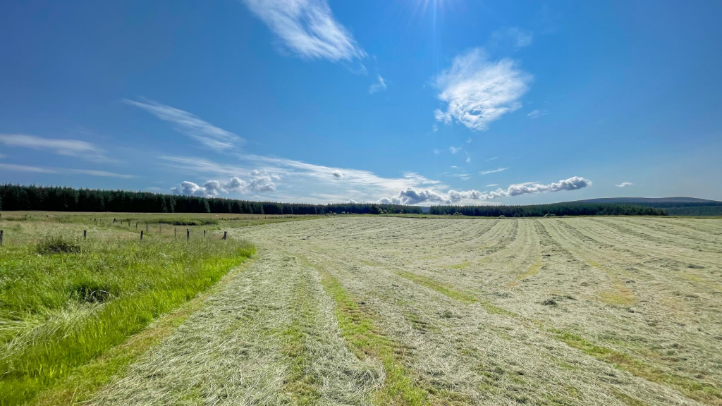 Additional property image - Upper Coull Farmhouse & 28 Acres, Glenlivet