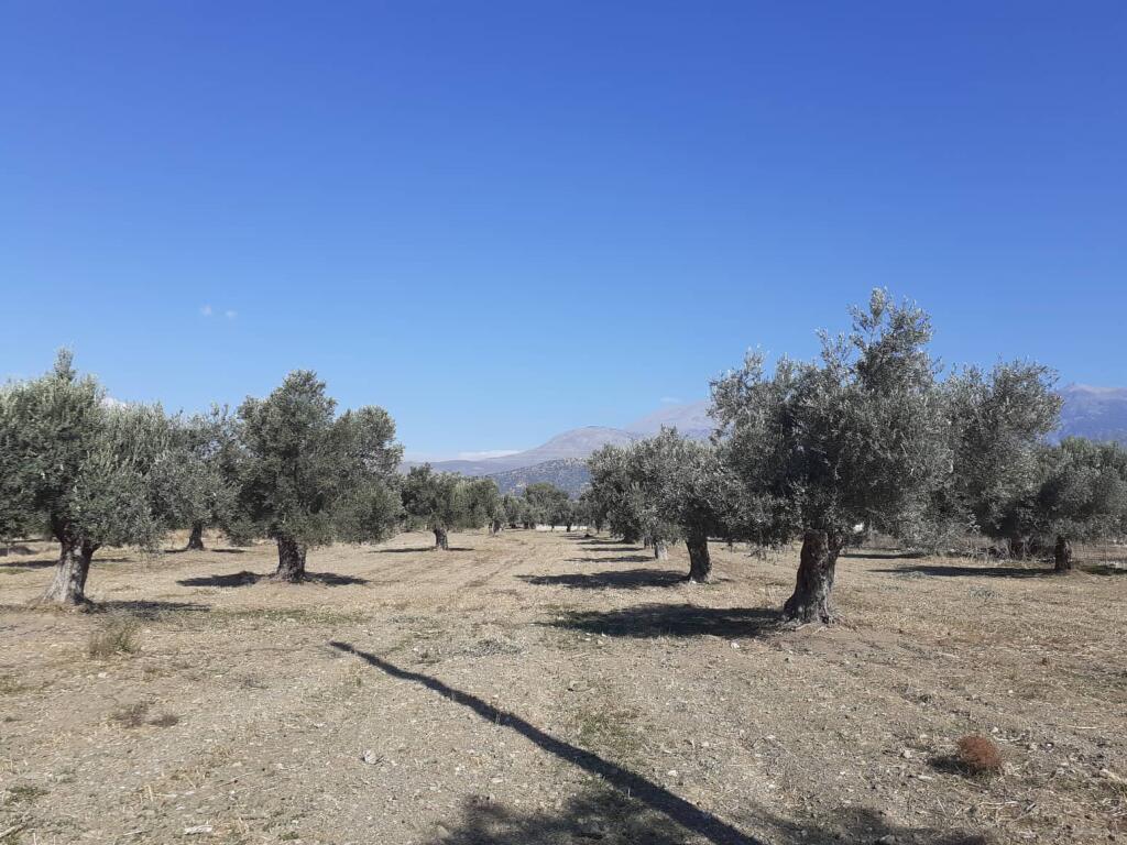 Main image of property: Crete, Heraklion, Tympaki