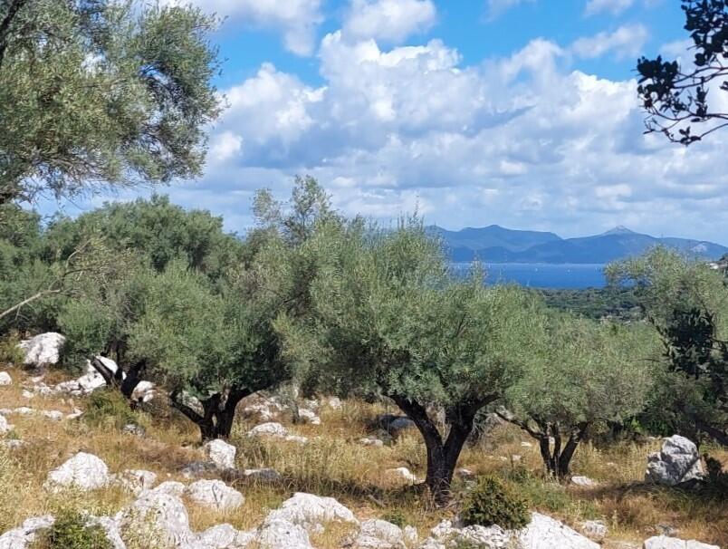 Main image of property: Greece
