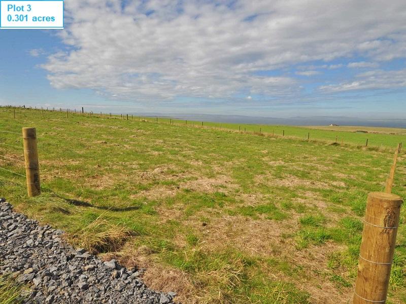 farm-land-for-sale-in-2-areas-of-land-at-fea-hill-tankerness-kw17-2qs