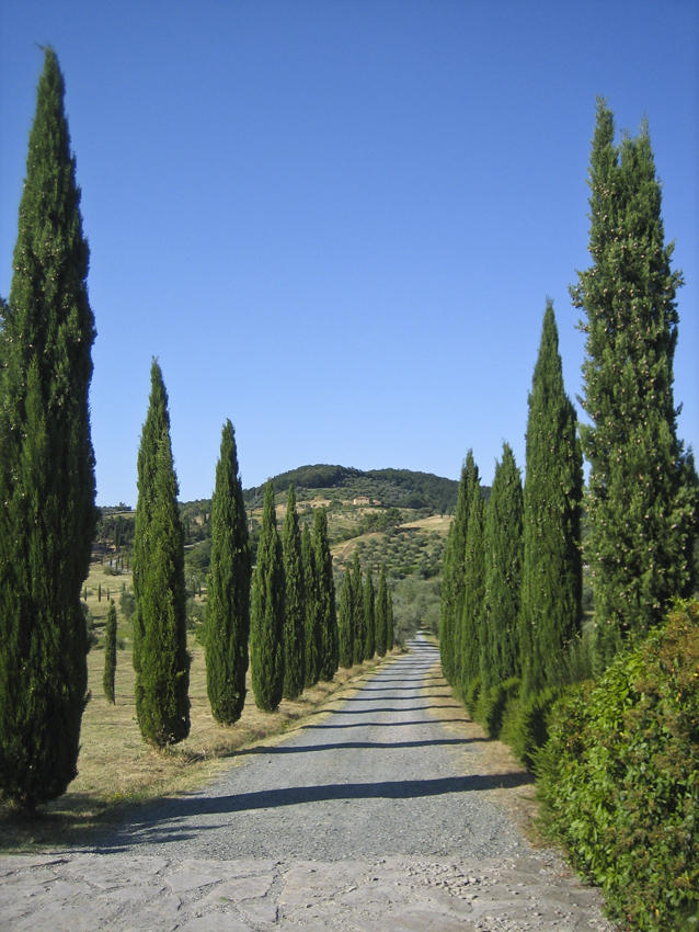 1 bedroom stone house for sale in Tuscany, Florence, Montaione, Italy