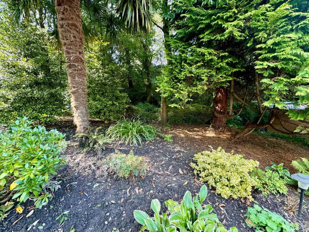 Additional property image - Tylacoch Cottage, Treorchy