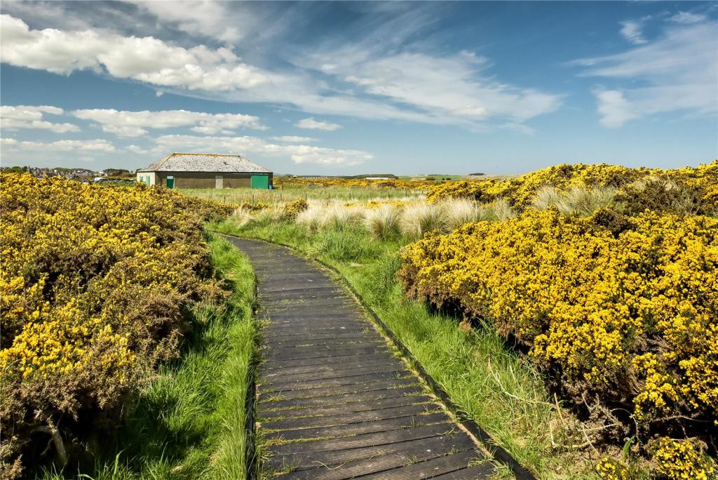 Additional property image - Corf House Development Opportunity, Ythan Estuary, Newburgh, Ellon, Aberdeenshire, AB41