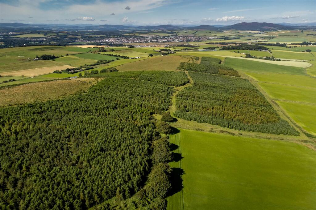 Additional property image - Lawel Hill Wood, Inverurie, Aberdeenshire, AB51