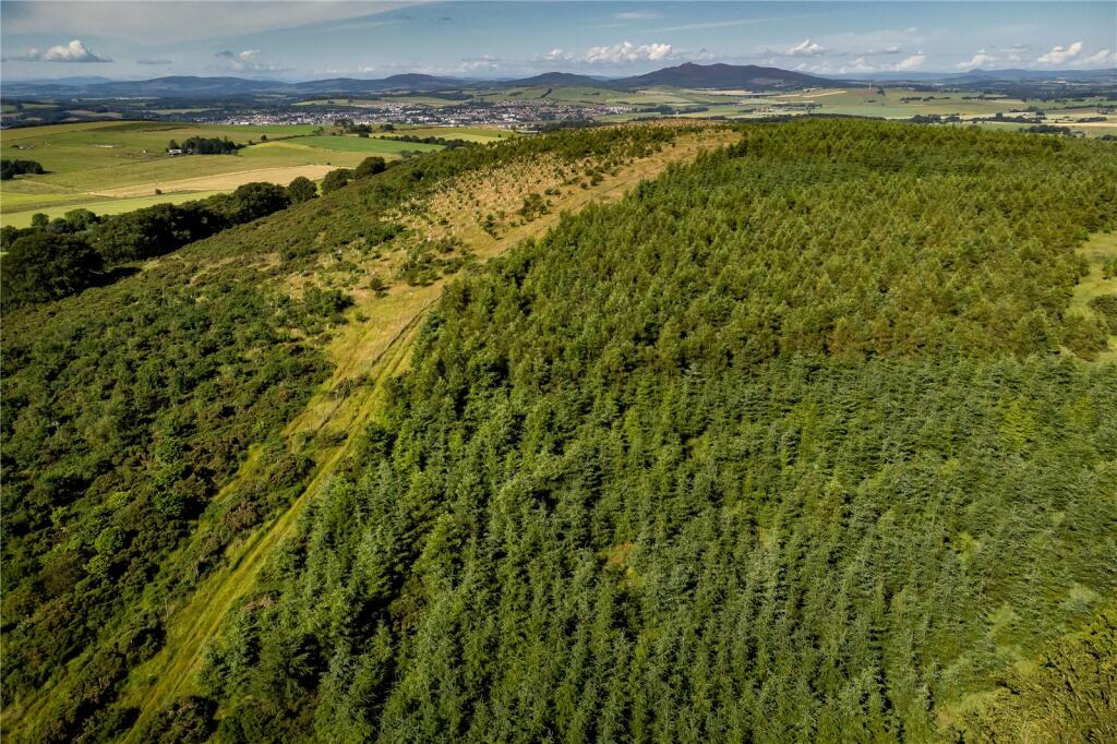 Property image - Lawel Hill Wood, Inverurie, Aberdeenshire, AB51