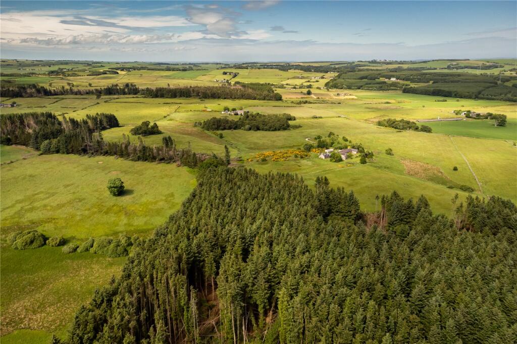 Additional property image - Lot 7 Cothill Woodland, Fintray, Aberdeen, Aberdeenshire, AB21