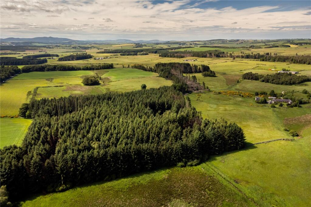 Additional property image - Lot 7 Cothill Woodland, Fintray, Aberdeen, Aberdeenshire, AB21