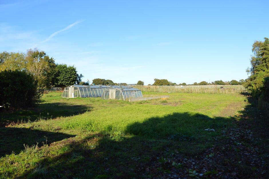 Additional property image - Land at Chota Gur, Harwich Road, Beaumont, Tendring, Essex, CO16 0AX