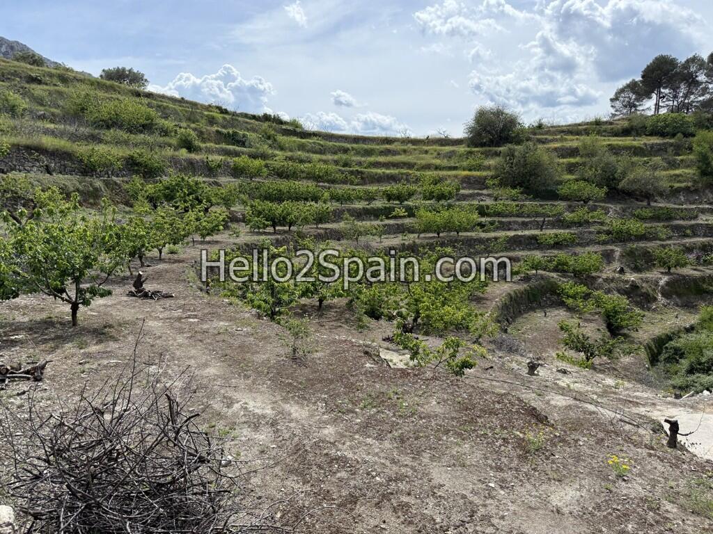 Main image of property: Vall De Gallinera, Alicante, Valencia