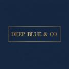 Deep Blue And Company, Mahe Estate Agent Logo